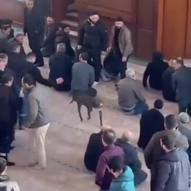 Cuma vaazı sırasında camiye pitbullun girdiği anlar kamerada