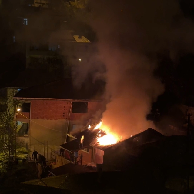 Yanan evden mahsur kalan papağanı itfaiye kurtardı