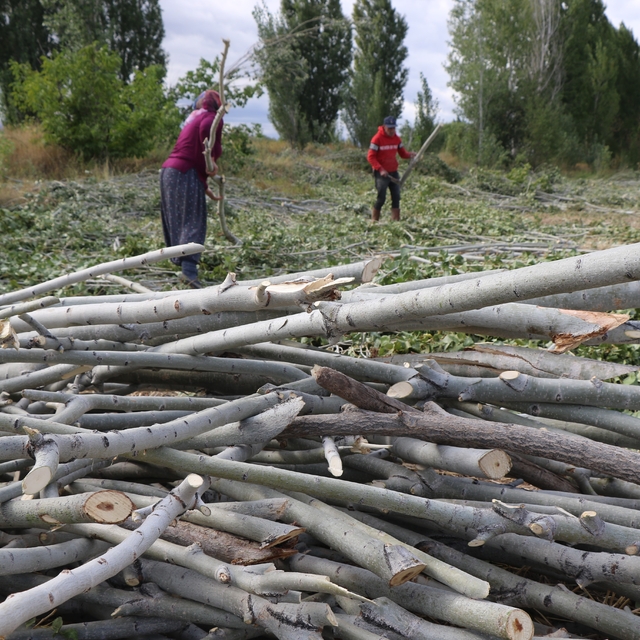 Kömür pahalı, odun umut: Erzincan kırsalında kış mesaisi