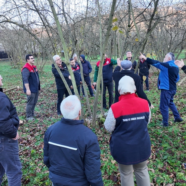 Fındıkta verim ve kalite artırılıyor