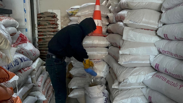 Ardahan'da esnaf soğuk havada yiyecek bulamayan güvercinleri imece usulü besliyor