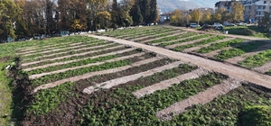 Gölcük’e yeni mezarlık alanları hazırlandı
