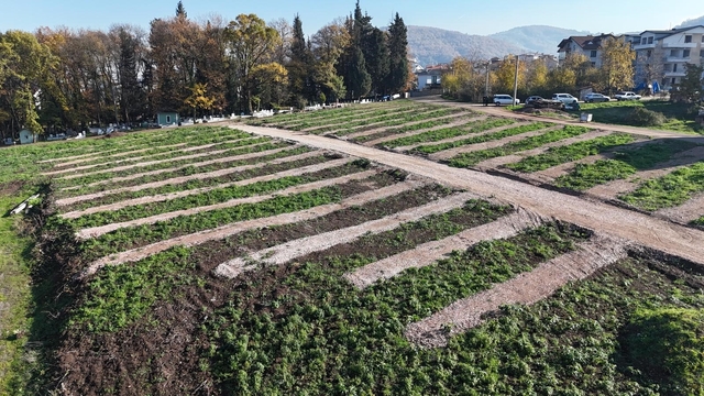 Gölcük'e yeni mezarlık alanları hazırlandı