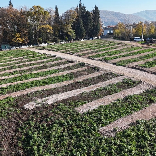 Gölcük'e yeni mezarlık alanları hazırlandı