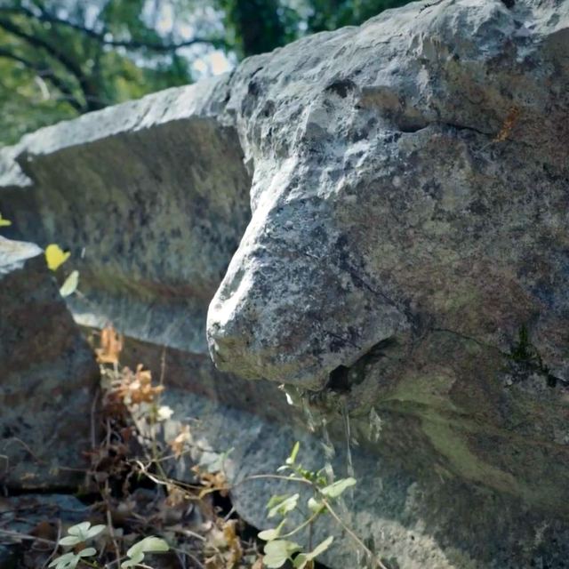 Büyük İskender'in fethedemediği antik kentte, 2 bin yıllık aslan başlı çört...