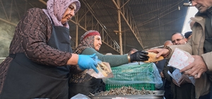 Sakarya'da festivalde katılımcılara 1 ton hamsi ikram edildi