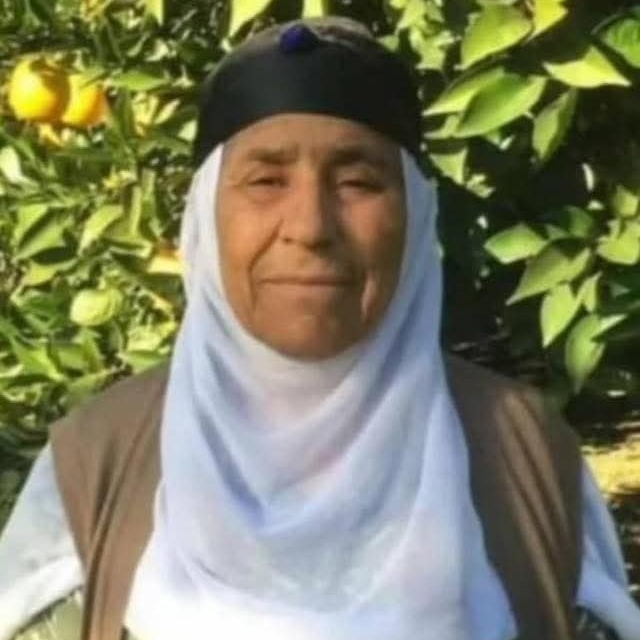 TIR'ın çarptığı kadın toprağa verildi