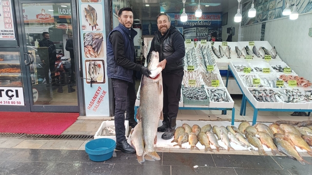 Batman'da 2 metre 10 santimlik dev turna balığı ilgi odağı oldu