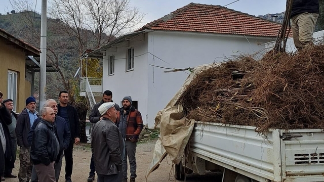 Köşk'te köklü kestane fidanları üreticilere dağıtıldı