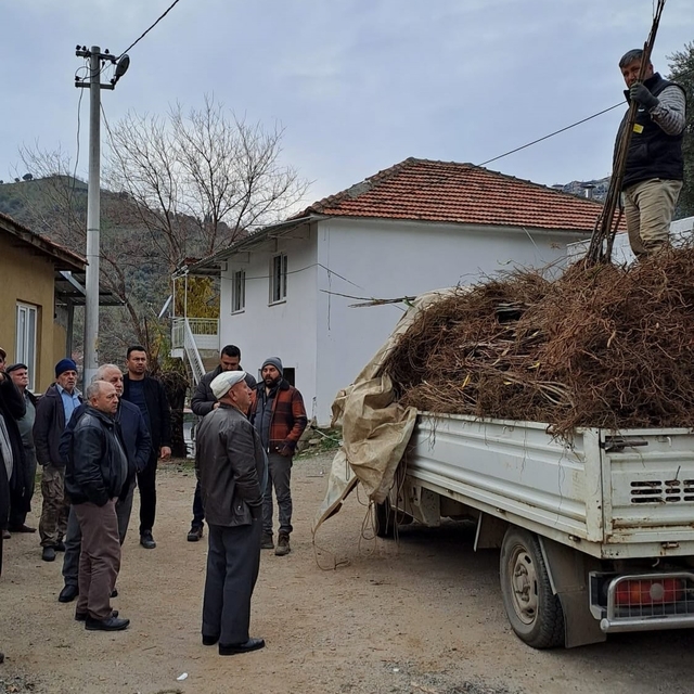 Köşk'te köklü kestane fidanları üreticilere dağıtıldı