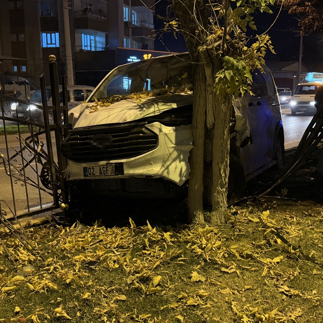 Kontrolden çıkan minibüs, refüjdeki ağaca çarparak durabildi