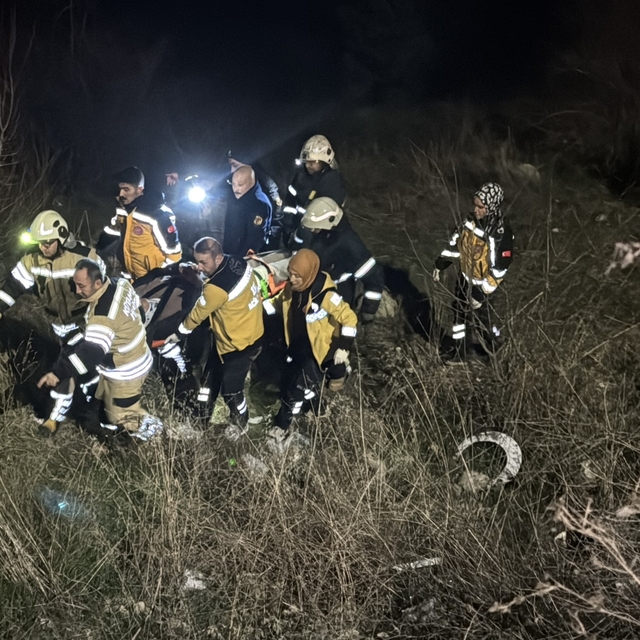 Otomobil şarampole devrildi; 1 yaralı