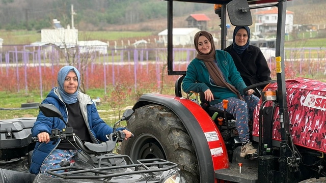Kentten kırsala dönüp yaban mersini yetiştiren kadınlar, hemcinslerinin de bütçelerine katkı sağlıyor