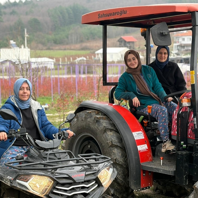 Kentten kırsala dönüp yaban mersini yetiştiren kadınlar, hemcinslerinin de...