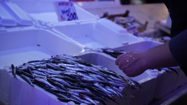 Hamsi zirvedeki yerini istavrite bıraktı