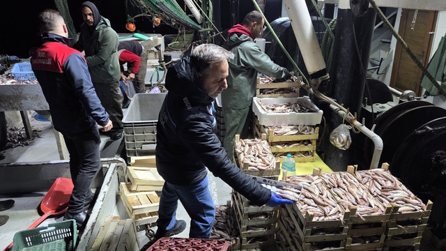 İğneada Balıkçı Barınağı'nda su ürünleri denetimi