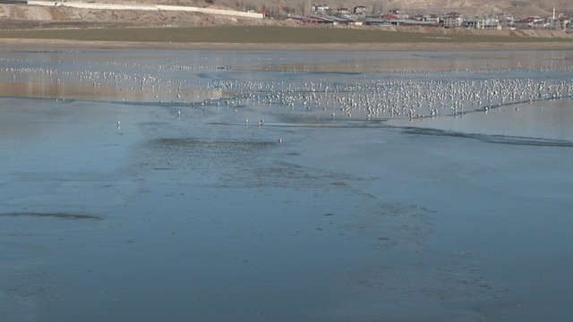 Van'daki Sıhke Gölü'nün yüzeyi kısmen buzla kaplandı