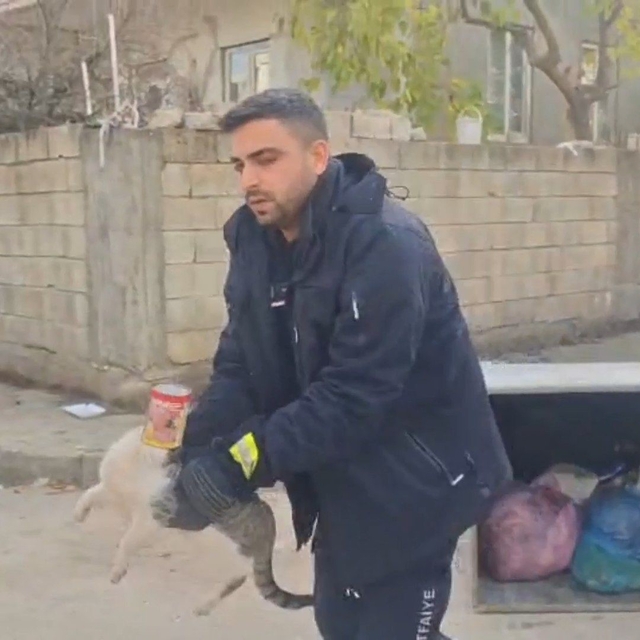 Konserve kutusuna sıkışan kedi kurtarıldı