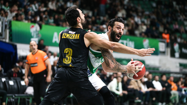 Türkiye Sigorta Basketbol Süper Ligi