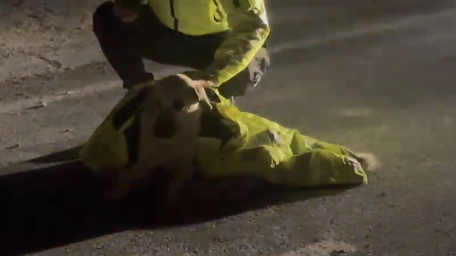 Polis, yaralı köpeğin üstünü kendi montuyla örttü