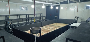 Manisa'da horoz dövüşüne jandarmadan baskın