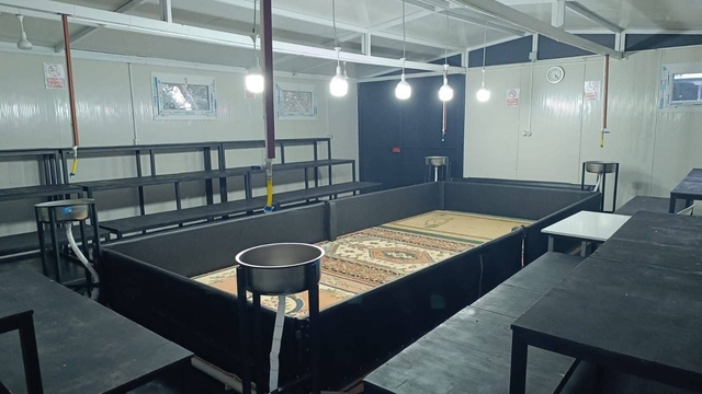 Manisa'da horoz dövüşüne jandarmadan baskın