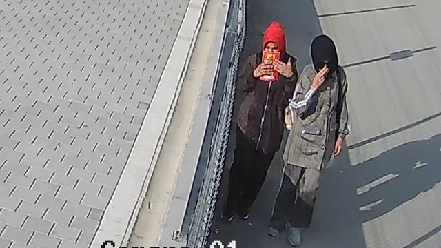 Girdikleri dairelerden 755 bin liralık altın ve saat çalan şüpheliler: Arkadaşımızı ziyarete gitmiştik