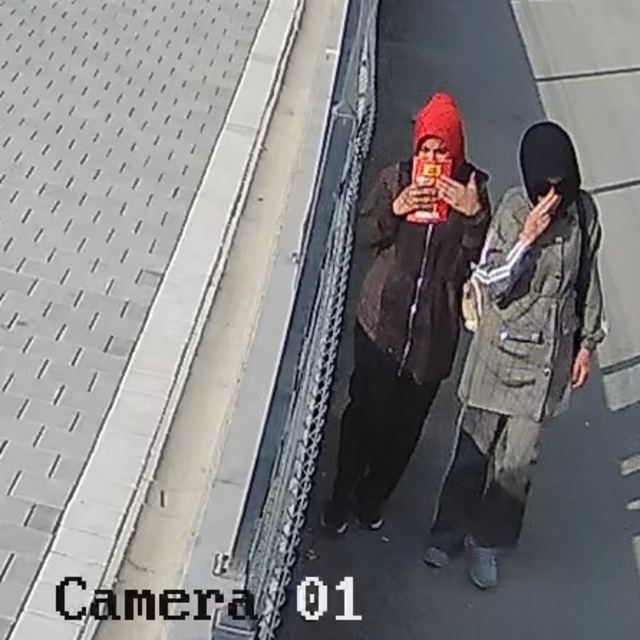 Girdikleri dairelerden 755 bin liralık altın ve saat çalan şüpheliler: Arka...