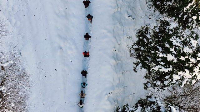 Gümüşhane'de şehrin gürültüsünden kaçanlar Torul'un zirvelerinde buluştu
Gümüşhane'de karla kaplı ormanlarda masalsı yolculuk