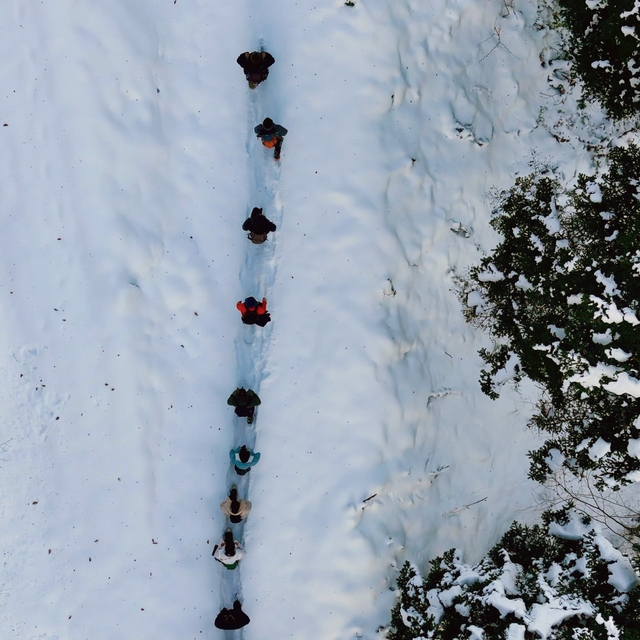 Gümüşhane'de şehrin gürültüsünden kaçanlar Torul'un zirvelerinde buluştu
Gü...
