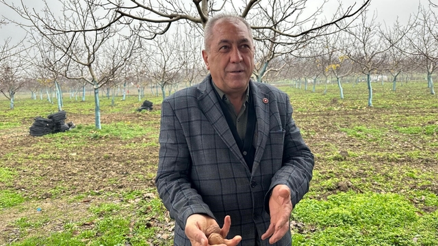 Cevizle yaşam şartları değişen köyde İstanbullular da bahçe kuruyor
Dönümü 500 bin liraya ulaşan ceviz bahçelerine yatırım yapıyorlar