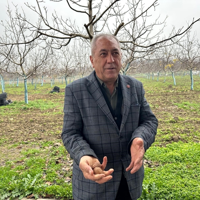 Cevizle yaşam şartları değişen köyde İstanbullular da bahçe kuruyor
Dönümü...