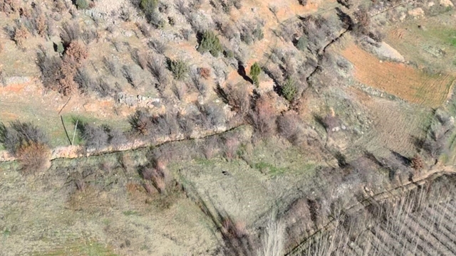 Nurhak'ta yaban domuzu avı yapıldı