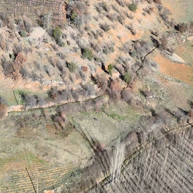 Nurhak'ta yaban domuzu avı yapıldı