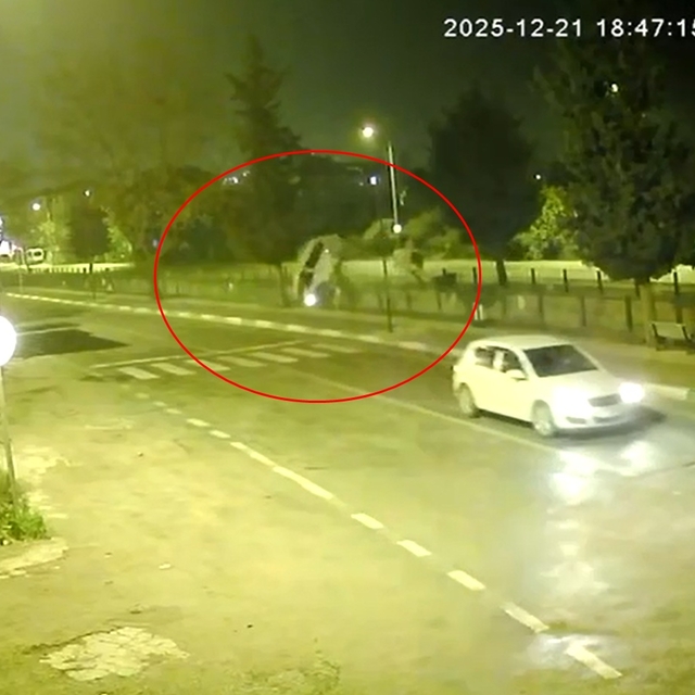 Minibüsün dereye yatağına uçtuğu kaza kamerada