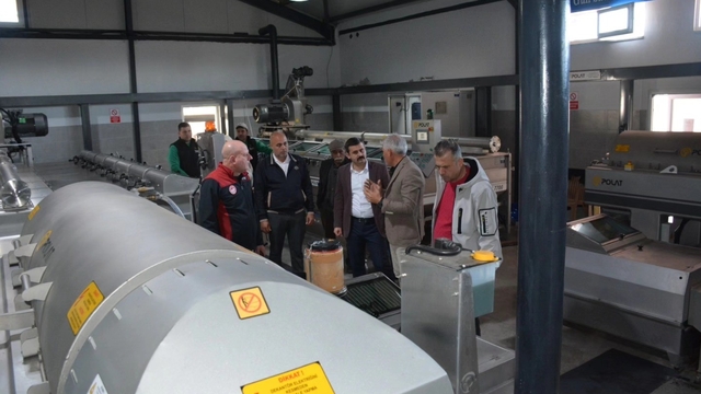 Köyceğiz Kaymakamı Kumcu, zeytinyağı fabrikasında inceleme yaptı