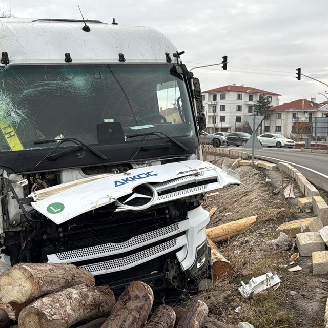 Kontrolden çıkan tır, kereste fabrikasının deposuna girdi