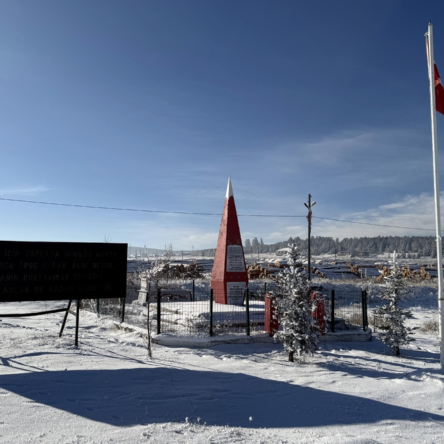 Vatanı için canını veren Mehmetçiğin kararlı mücadelesi: Sarıkamış Harekatı