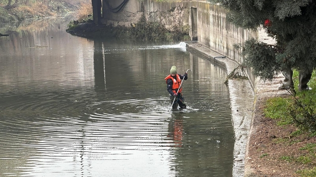 Eskişehir'de kayıp öğretmeni arama çalışmalarında 6'ncı gün