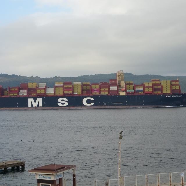 'MSC Türkiye' Çanakkale Boğazı'ndan geçti