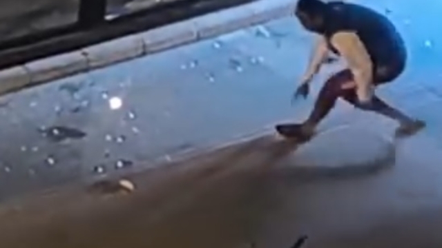 Taşla park halindeki otomobiller ile iş yerlerinin camlarını kırdı