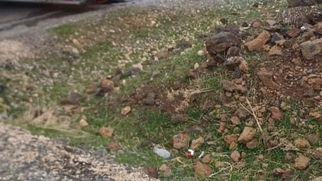 Diyarbakır'da seyir halindeki tır alev aldı