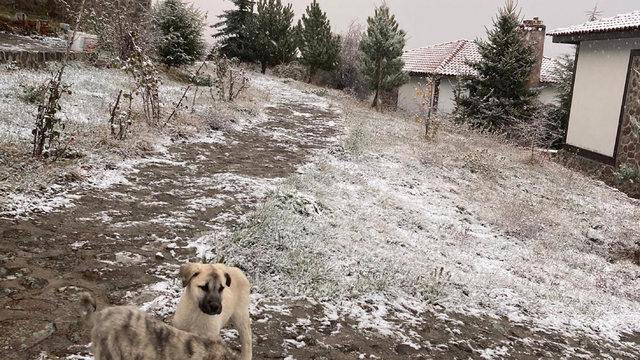 Beypazarı ilçesinin yüksek kesimleri beyaza büründü
