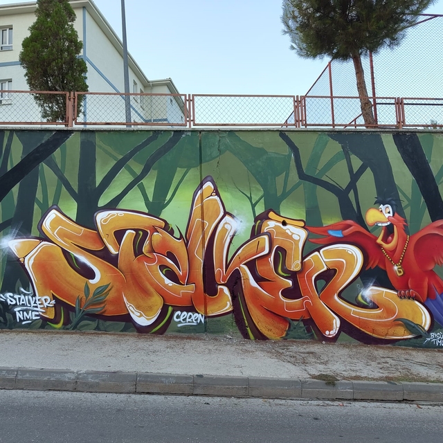 Bozüyük'te okul duvarları sanatla hayat buldu