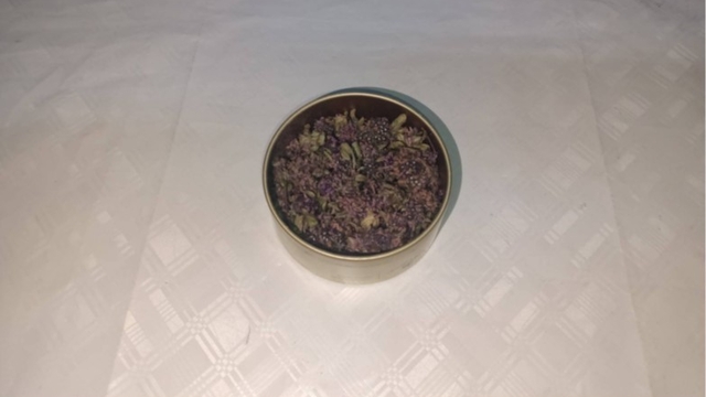 Artvin'de endemik yayla çayı çiçeği kaçakçılığına Jandarma engeli