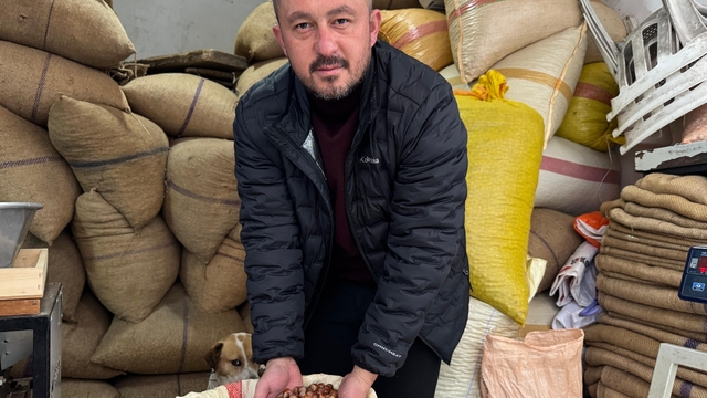 Giresun'da fındık fiyatı yılbaşına günler kala yükselişe geçti