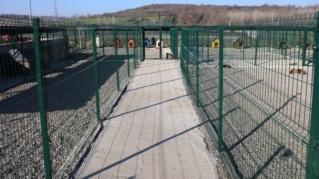 BARÜ'de kampüsteki hayvanlar için yaşam merkezi oluşturuldu