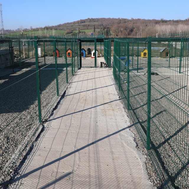 BARÜ'de kampüsteki hayvanlar için yaşam merkezi oluşturuldu