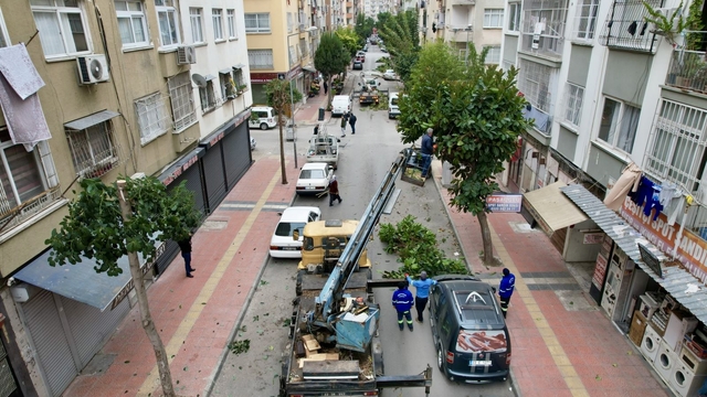 Mersin'in Akdeniz ilçesinde ağaçlar bakımdan geçirildi