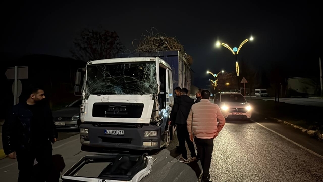 Kocaeli'de iki kamyon çarpıştığı kazada 1 kişi yaralandı